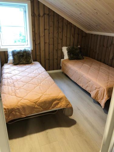 TuddalStorekleiv Hyttefelt Tuddal的一间卧室设有两张床和窗户。