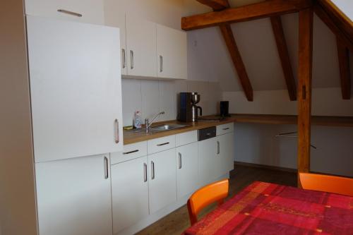 巴特基辛根Ferienwohnung & Wellness的厨房配有白色橱柜和红色地毯
