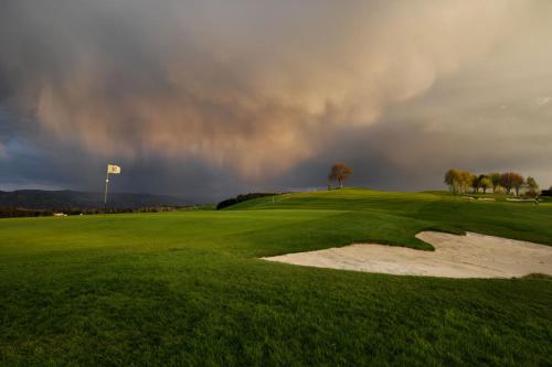 魏森贝格Golfhotel Bodensee的草地上的一个高尔夫球场