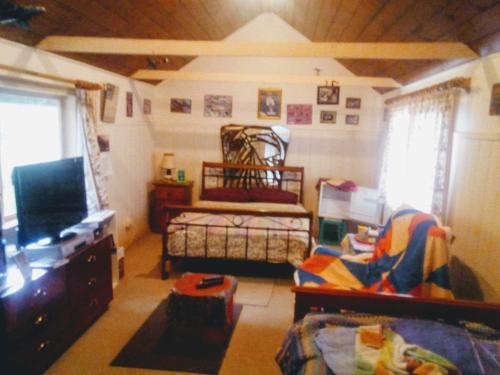 奥尔博斯特Sylvia Lodge A step back in time pet friendly Homestay的一间带床和电视的客厅