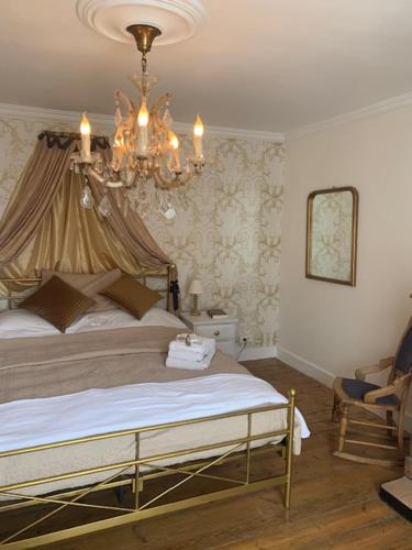 Peyrat-de-BellacLes Lauriers的一间卧室配有一张大床和一个吊灯。
