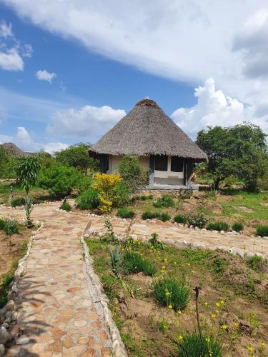 NarokMasai Mara Explore Camp的草屋顶的小小屋