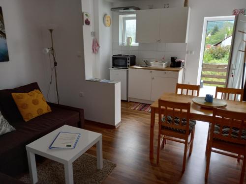 Ličko Petrovo SeloPlitvice Valley Apartments的带沙发和桌子的客厅以及厨房。