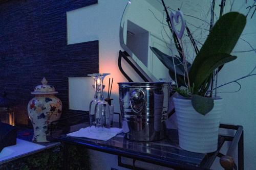 布林迪西Palmina's Apartments的一张桌子,上面有花瓶和植物