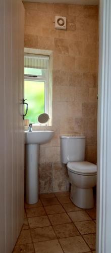 蒙默思Top Barn WALES的一间带卫生间、水槽和窗户的浴室