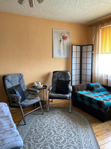 图库姆斯Studio tipa dzīvoklis的客厅配有两把椅子和一张沙发