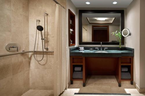 华盛顿丽思卡尔顿乔治敦华盛顿特区酒店的带淋浴、盥洗盆和镜子的浴室