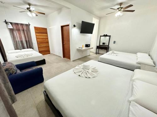 巴卡拉尔Hotel Vista Laguna Bacalar的一间酒店客房,设有两张床和电视