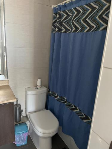 圣地亚哥Cómodo departamento Cerca de Metro的浴室设有卫生间和蓝色的浴帘。