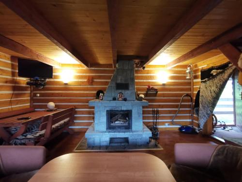 拉伊恰Domek na Polance的小木屋内带壁炉的客厅