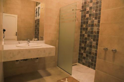 卢克索Royal Nile Villas - Pool View Apartment 1的一间带水槽和淋浴的浴室