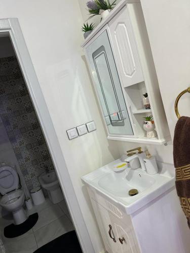 Derouaplanets house的白色的浴室设有水槽和卫生间。