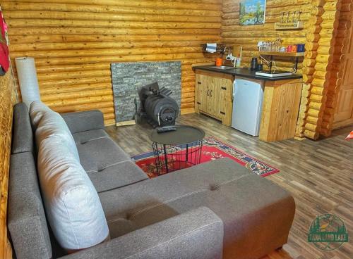 ZaovineTara Land Lake的小木屋内设有一间带沙发的客厅和一间厨房