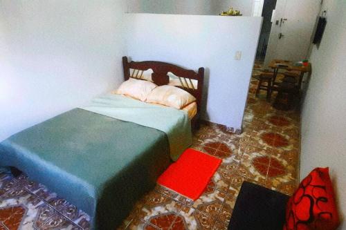 尼泰罗伊STUDIO NITERÓI-BARCAS的一间卧室设有一张床,铺有红色地板