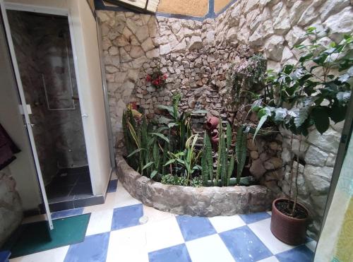 卡利Hospedaje Casa Aurora的石墙中种有植物的花园