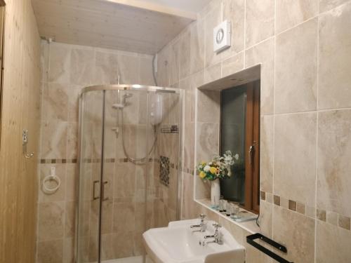韦斯特波特Self Catering apartment Achill Island Pets Allowed的一间带水槽和淋浴的浴室