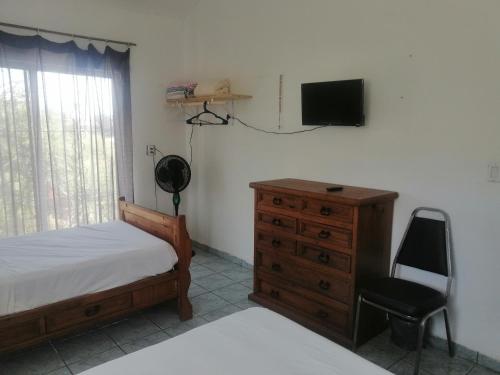 El CarmenCasa Las Animas的一间卧室配有一张床、梳妆台和电视。