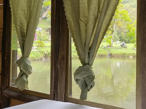 卡利Sapiens house "cabaña del lago"的窗户配有窗帘,享有河景