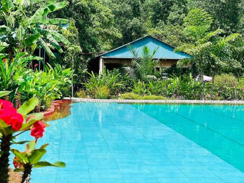峰牙Phong Nha Eco Village的房子前面的蓝色游泳池