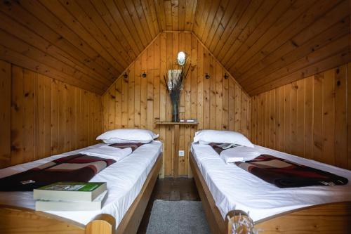 圣格奥尔基海豚露营酒店的小木屋内带两张床的房间
