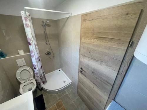 科切维ABC Apartma Kočevsko的一间带卫生间和淋浴的小浴室