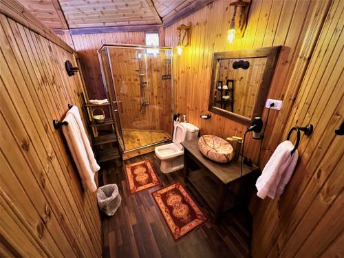 瓦迪拉姆The Villas - Bedouin Boutique Resort的带淋浴和卫生间的木制浴室