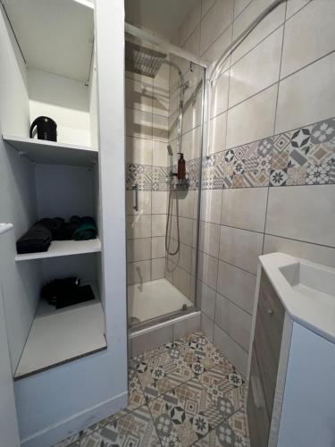 索恩河畔沙隆Appartement Gare的带淋浴和盥洗盆的浴室
