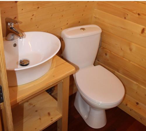 默尼希基兴Alpengasthof Enzian GmbH的浴室配有白色卫生间和盥洗盆。