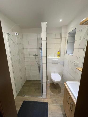 PístoviceUbytování u Kolóška的带淋浴、卫生间和盥洗盆的浴室