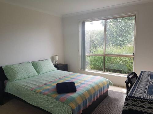 堪培拉Entire 2BR sunny house @Franklin, Canberra的一间卧室设有一张床和一个大窗户