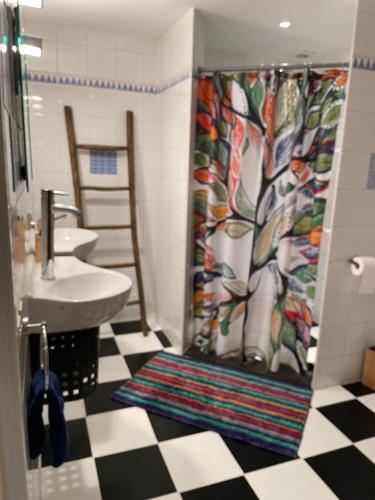 OudendijkIvy Cottage near Amsterdam的浴室配有淋浴帘和盥洗盆。