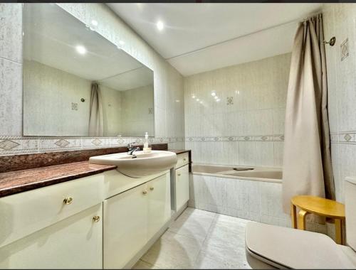 奥洛特Apto. grande, luminoso y centrico的一间带水槽、浴缸和卫生间的浴室