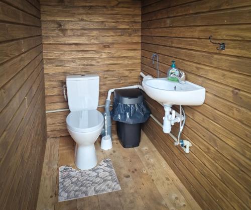 普里恩斯慕斯Glamping Fluffy Horns - Glempings Pūkainie Ragi的一间带卫生间和水槽的浴室