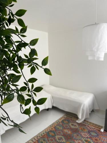 赫尔辛基Design stay in the heart of Punavuori的白色的房间,配有长凳和植物
