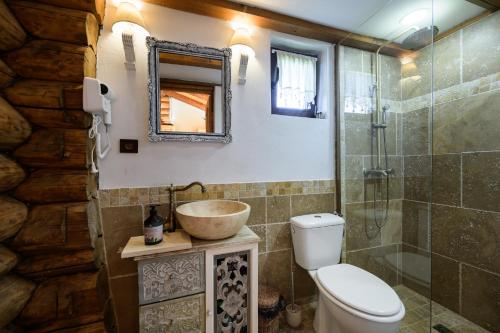 下维谢乌乡Cabana din Revier的一间带水槽、卫生间和淋浴的浴室