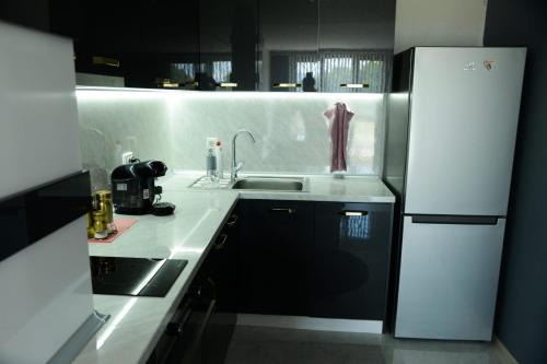 奥格尼亚诺沃Къща за гости Хаджиеви的厨房配有白色冰箱和水槽