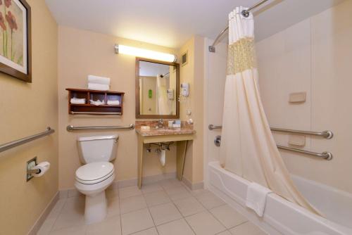 罗斯奇姆芝加哥-卡罗尔斯特林汉普顿酒店的浴室配有卫生间、淋浴和盥洗盆。