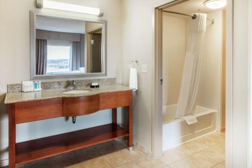 Deer Park芝加哥鹿园汉普顿套房酒店的一间带水槽和镜子的浴室