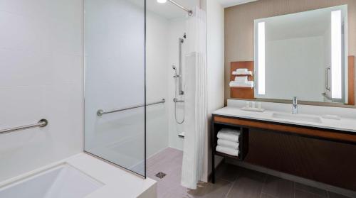 芝加哥芝加哥麦考密克希尔顿花园酒店 的带淋浴、盥洗盆和镜子的浴室