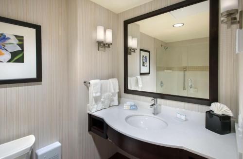 芝加哥Hilton Garden Inn Chicago Downtown Riverwalk的一间带水槽和大镜子的浴室