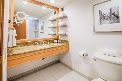 罗斯芒特Embassy Suites by Hilton Chicago O'Hare Rosemont的一间带水槽和镜子的浴室