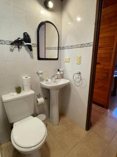 埃尔卡拉法特La Comarca Azul的一间带卫生间和水槽的浴室