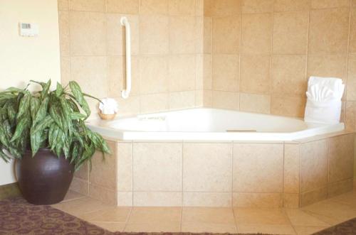 大学城学院站汉普顿套房酒店 的带浴缸的浴室