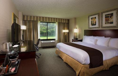 夏洛特夏洛特机场希尔顿逸林酒店的一间设有大床和窗户的酒店客房