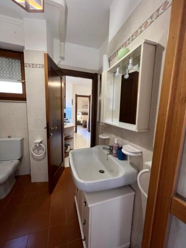 萨萨里Sassari Apartments - Maestrale的一间带水槽和卫生间的浴室
