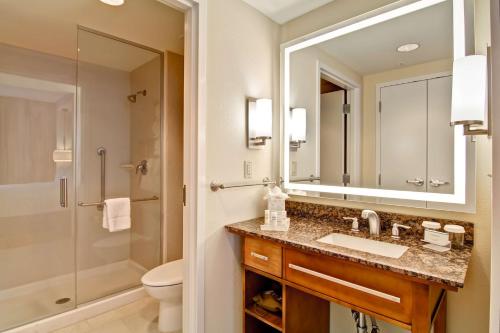 辛辛那提辛辛那提市中心希尔顿惠庭套房酒店的一间带水槽、淋浴和镜子的浴室