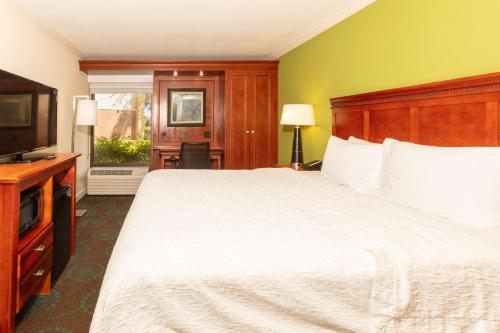 代托纳海滩代托纳赛道机场汉普顿酒店的一间卧室配有一张大床和电视