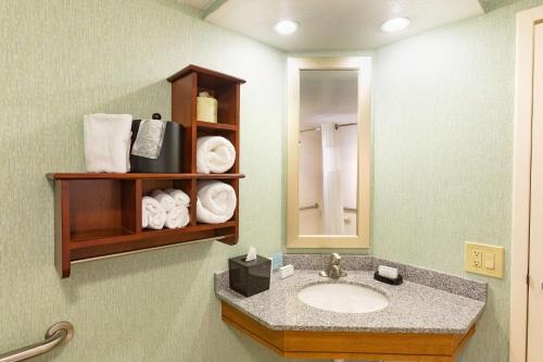 代托纳海滩代托纳赛道机场汉普顿酒店的浴室配有盥洗盆、镜子和毛巾