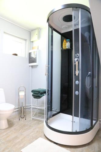 利加特内Brīvdienu māja Pūces的一间带卫生间的浴室内的玻璃淋浴间