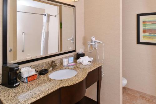 迈阿密斯堡Hampton Inn by Hilton Dayton South的一间带水槽、镜子和卫生间的浴室